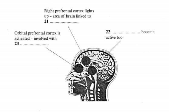 Diagram for these questions