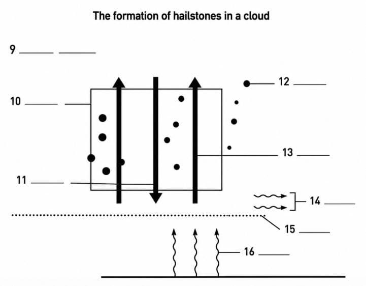 Diagram for these questions