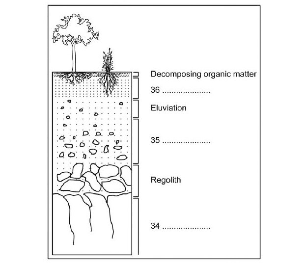 Layers of Soil