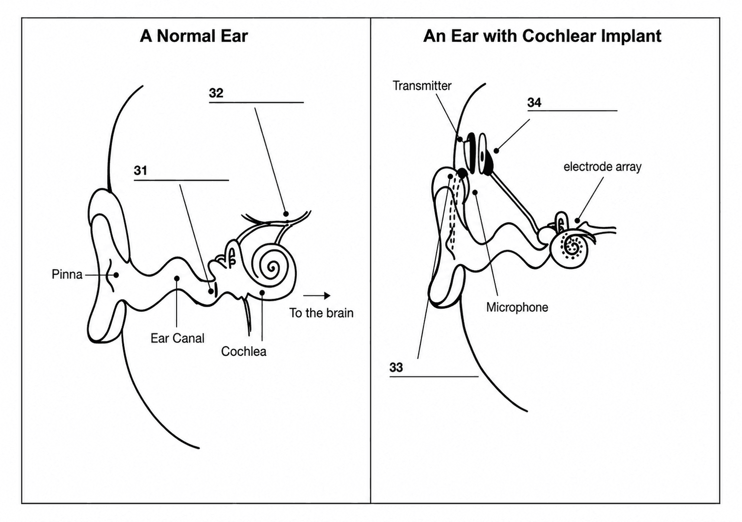 Diagram for these questions
