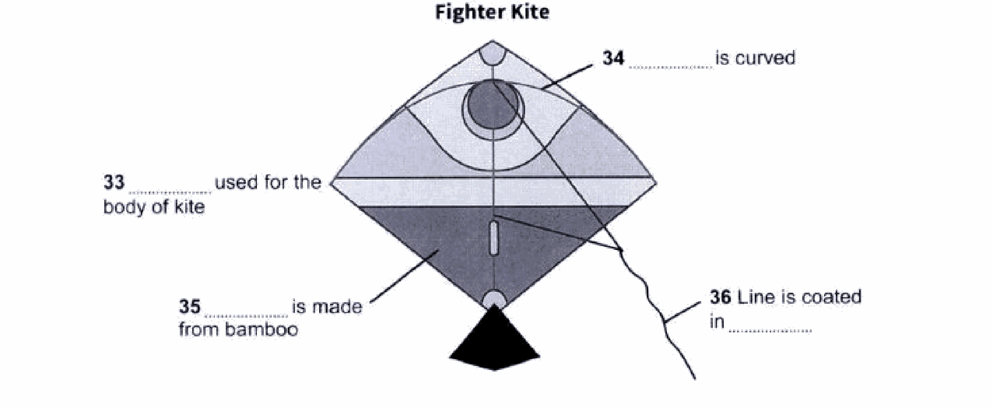 Fighter Kite