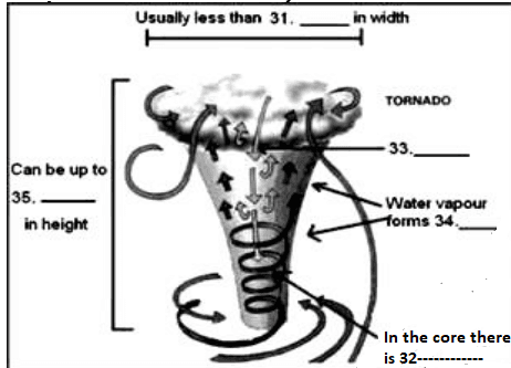 Tornado Diagram